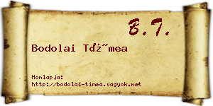 Bodolai Tímea névjegykártya